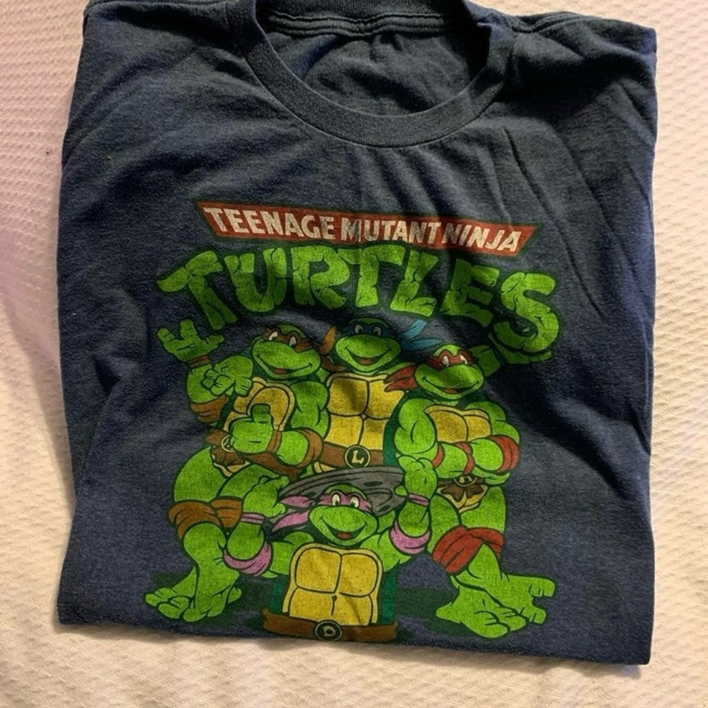 Teenage Mutant Ninja Turtles Graphic Tee - Blue and Green
